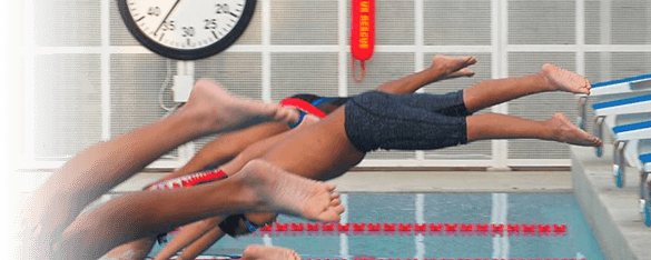 swimmers diving off the blocks